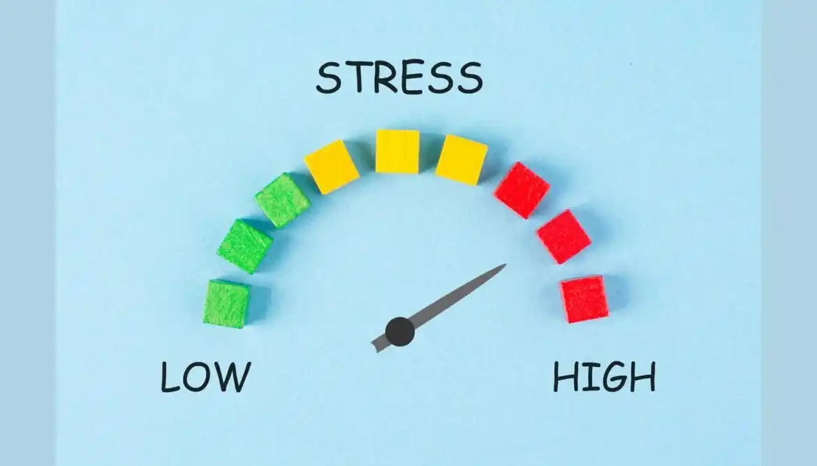 Van Stress tot Burn-out: Herken de Drie Fasen