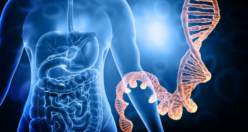 microbioom en genexpressie