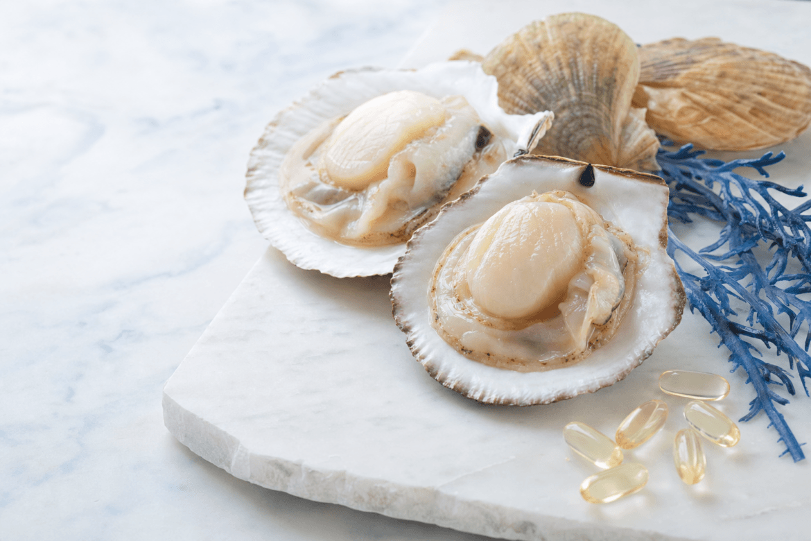 Scallop-plasmalogenen verbeteren verbaal geheugen bij geselecteerde volwassenen